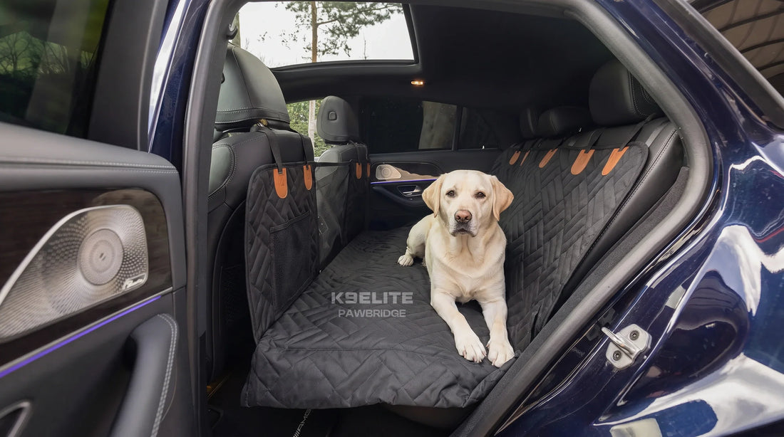 Why Every Dog Owner With a Car Should Consider a Backseat Extender