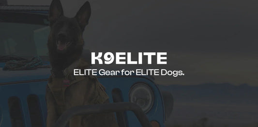 What Makes the K9ELITE™ Harness Military-Grade?