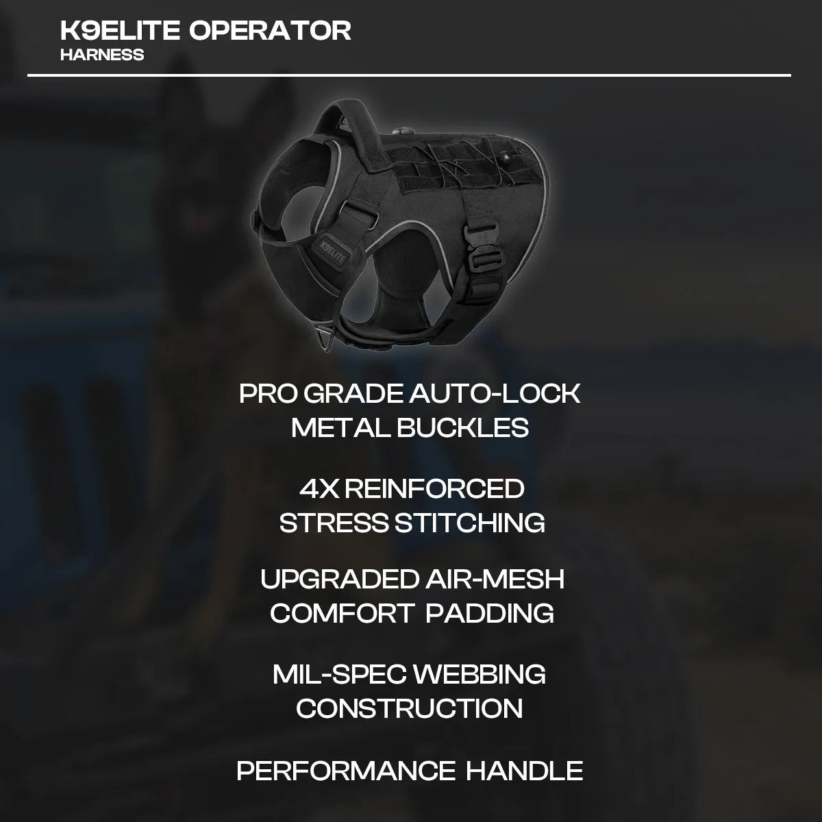 OPERATOR HARNESS