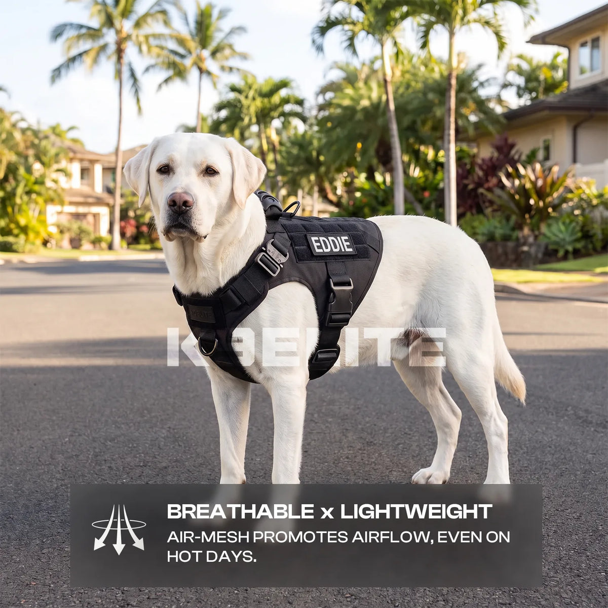 Patrol Harness