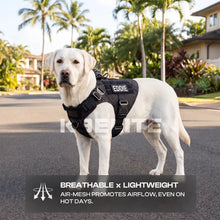 Patrol Harness