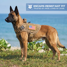 Patrol Harness