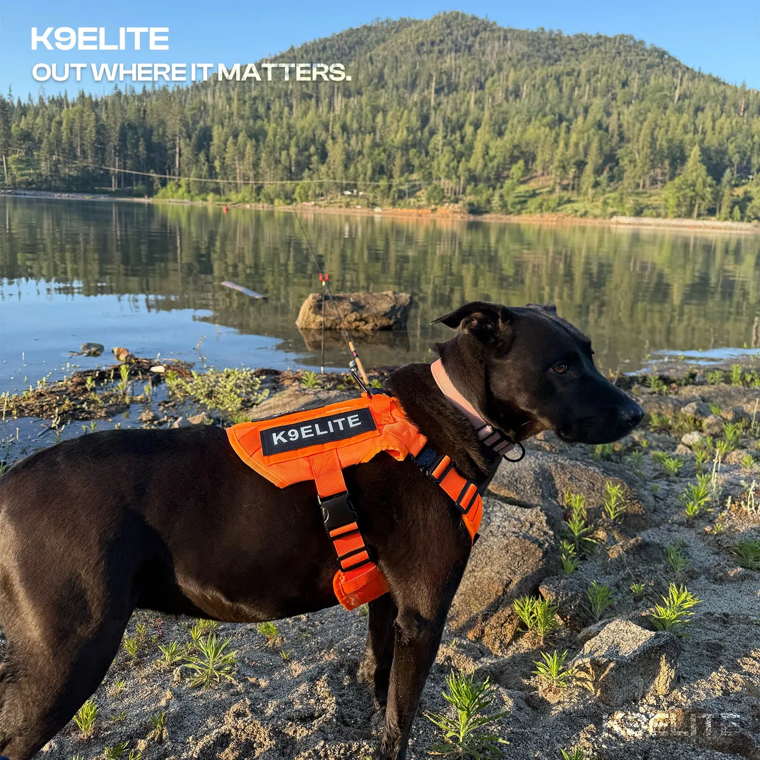 Patrol Harness