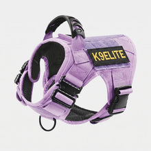 Patrol Harness