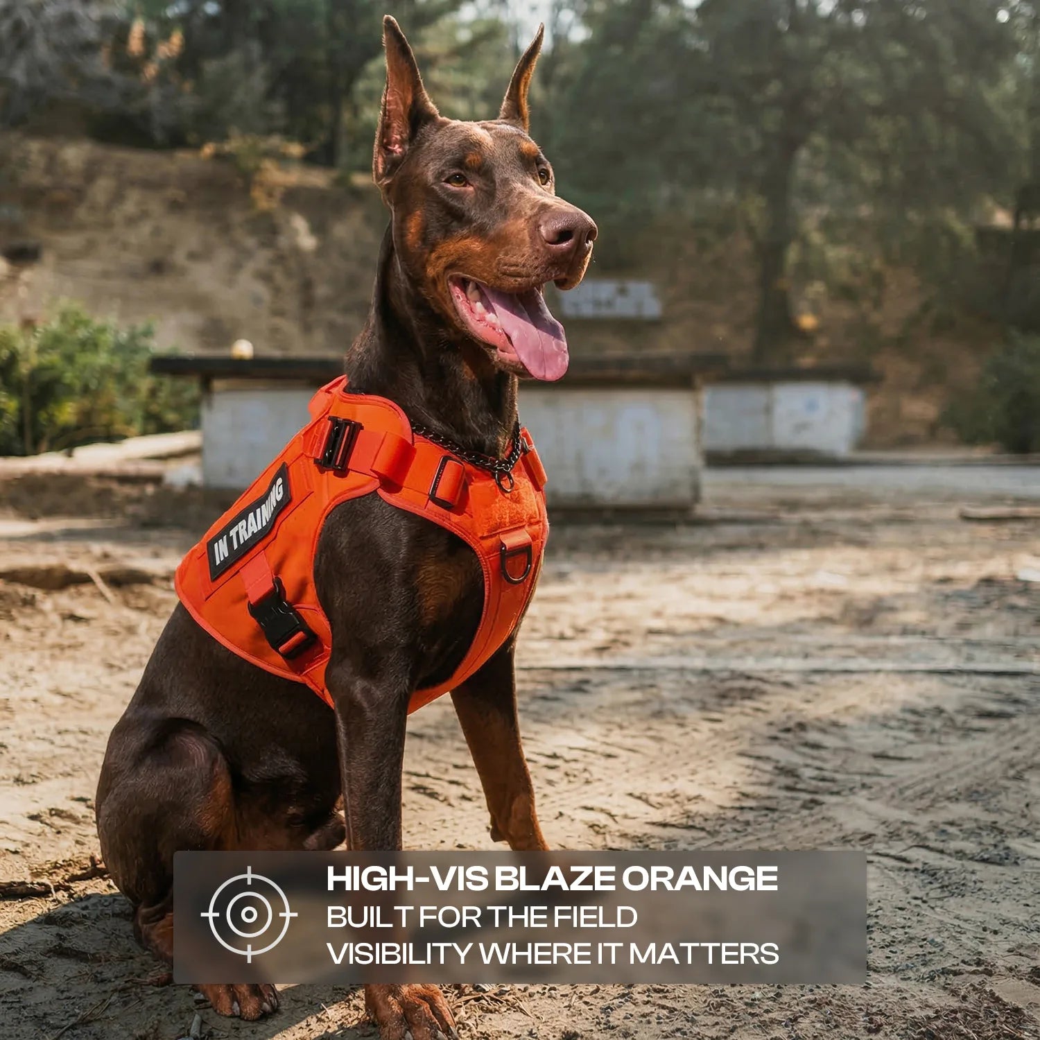 Patrol Harness