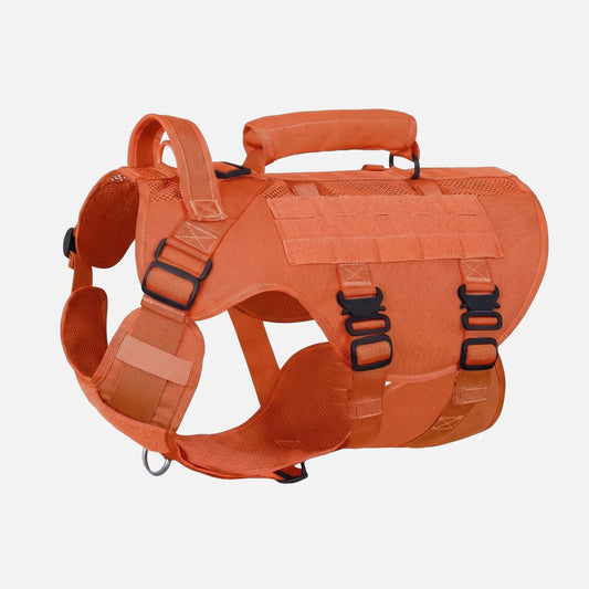 SENTINEL HARNESS