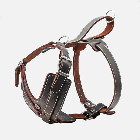 Spartan Harness