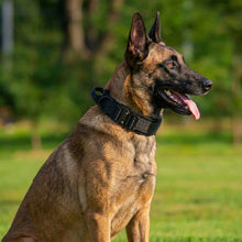 Command Collar