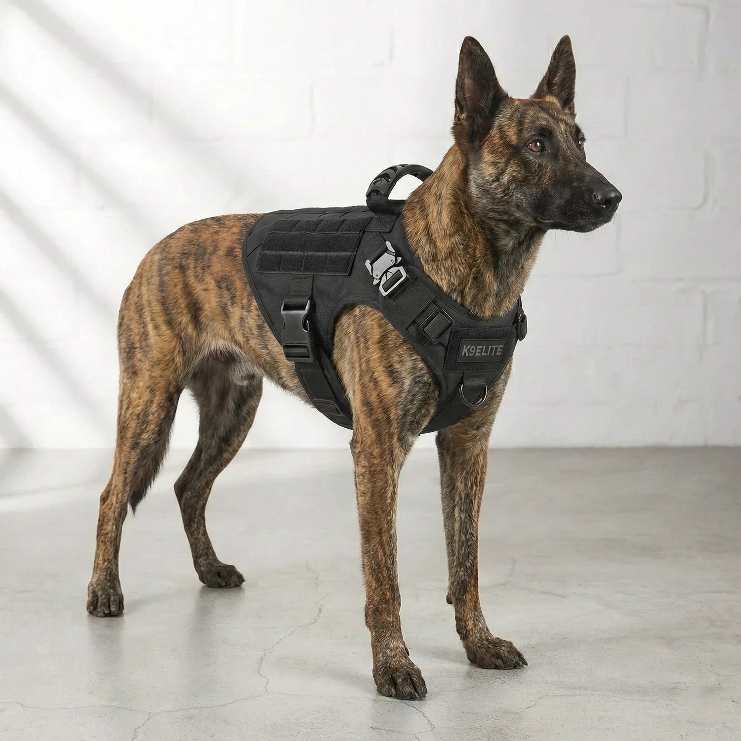 Patrol Harness