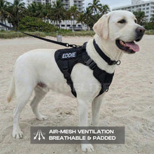 Patrol Harness