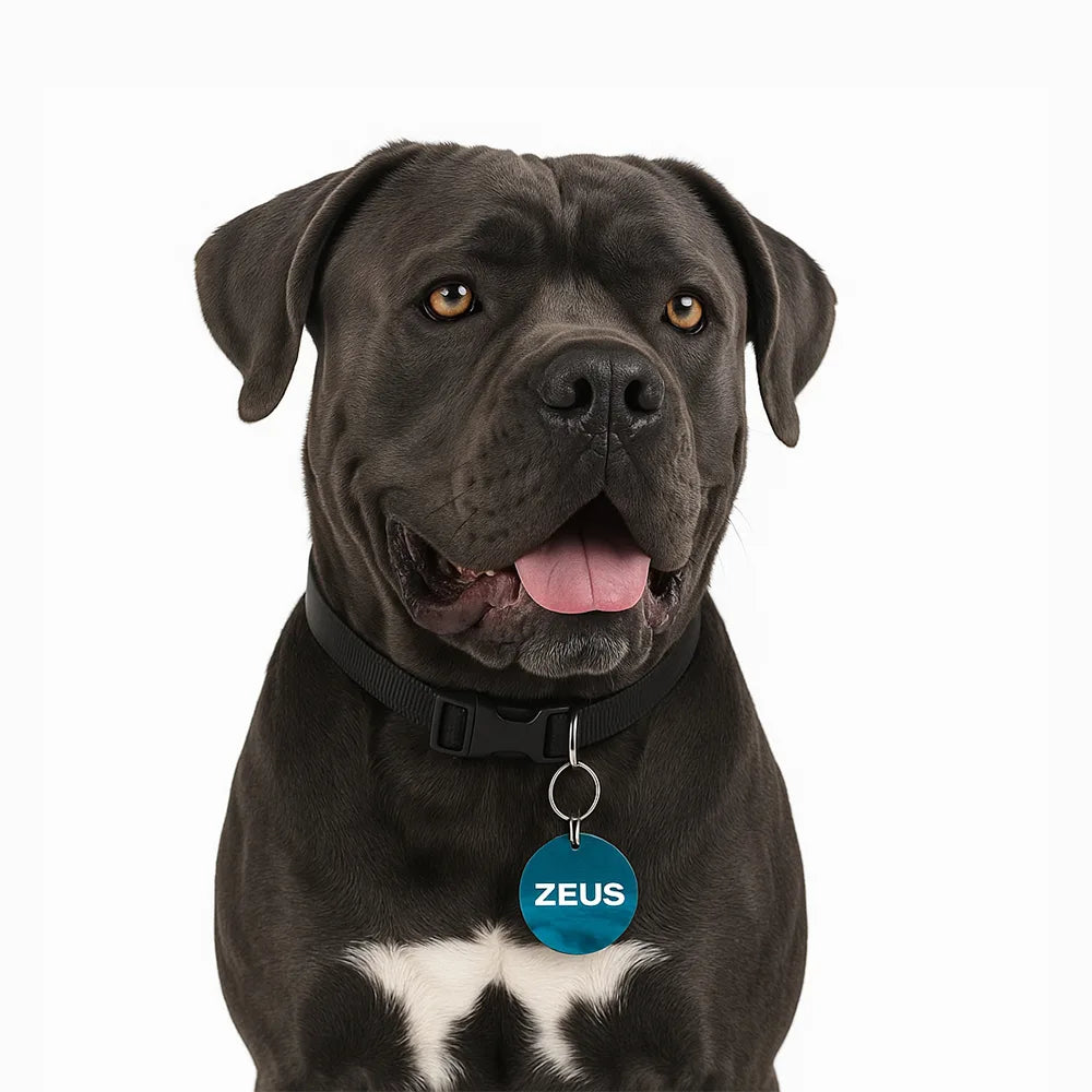 K9ELITE™ Custom Dog ID Tag