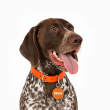 Custom Metal Dog ID Tag