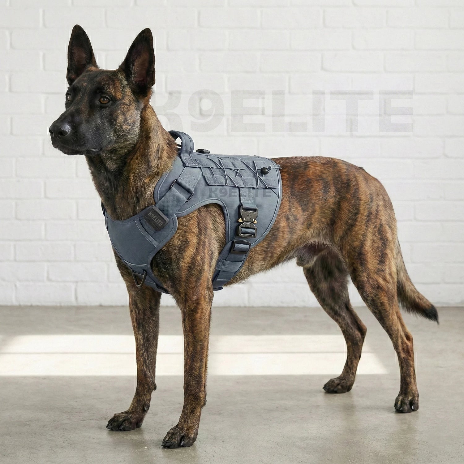 OPERATOR HARNESS