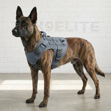 OPERATOR HARNESS