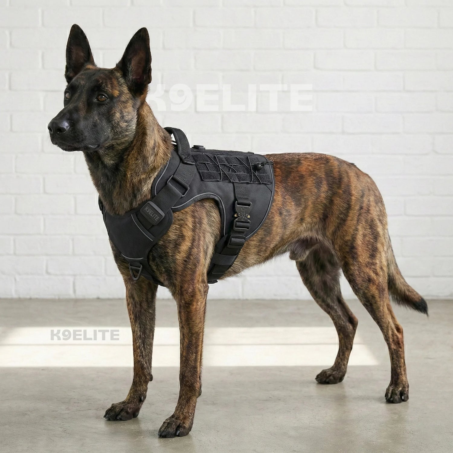 OPERATOR HARNESS