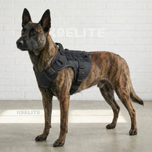 OPERATOR HARNESS