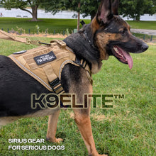 Patrol Harness