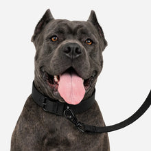 FIELD LEASH