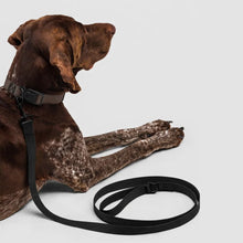 FIELD LEASH