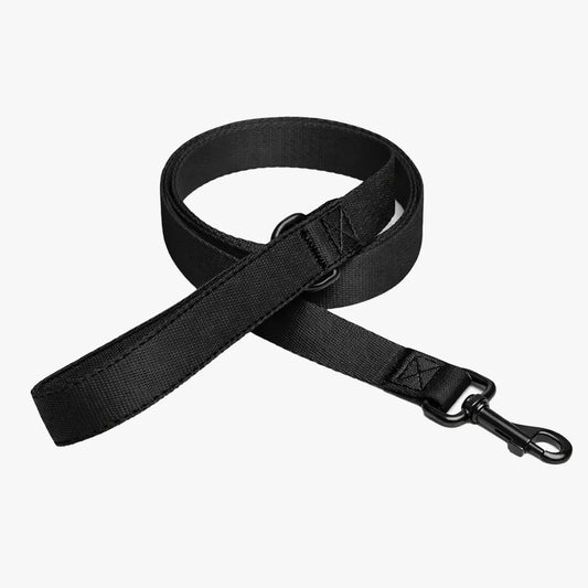 FIELD LEASH