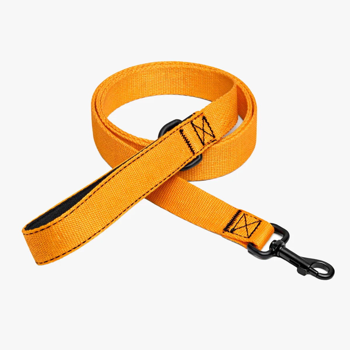 FIELD LEASH