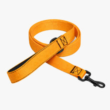 FIELD LEASH