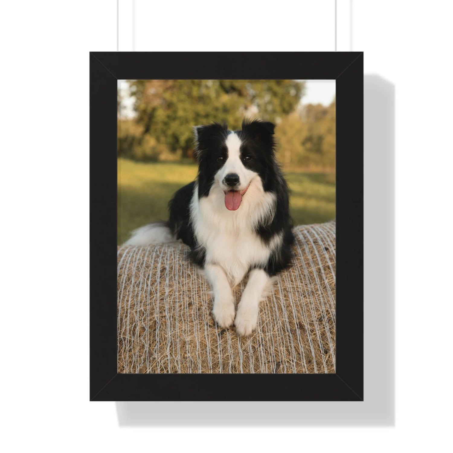 K9ELITE Custom Framed Poster