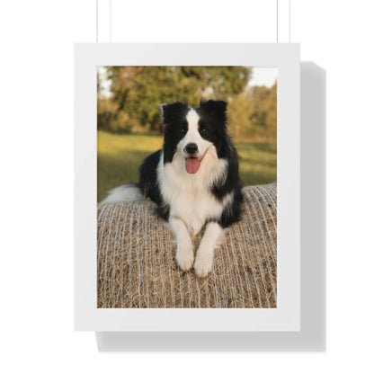 K9ELITE Custom Framed Poster