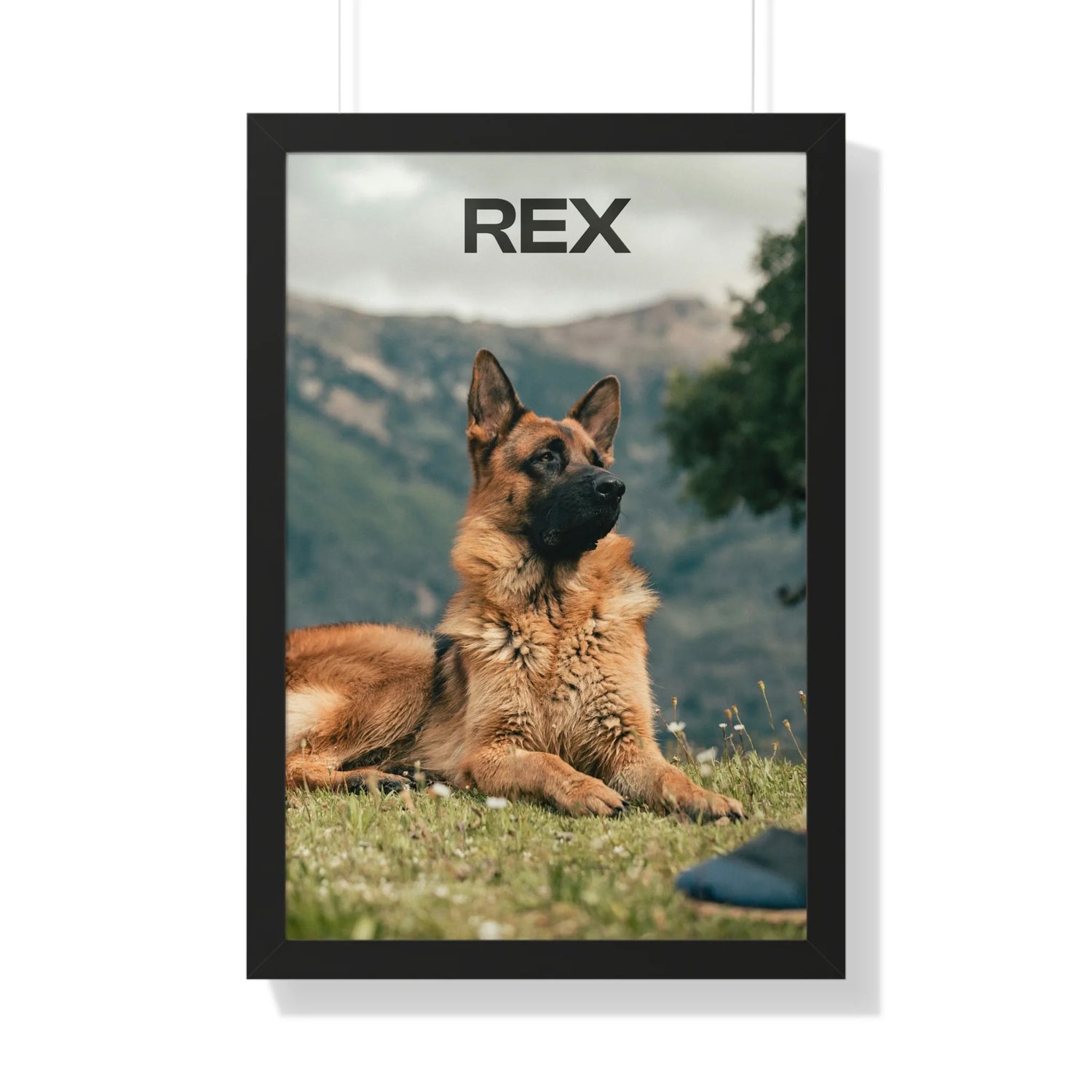 Custom Framed Poster