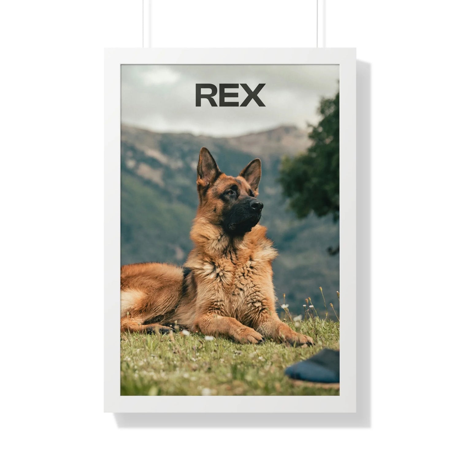 Custom Framed Poster