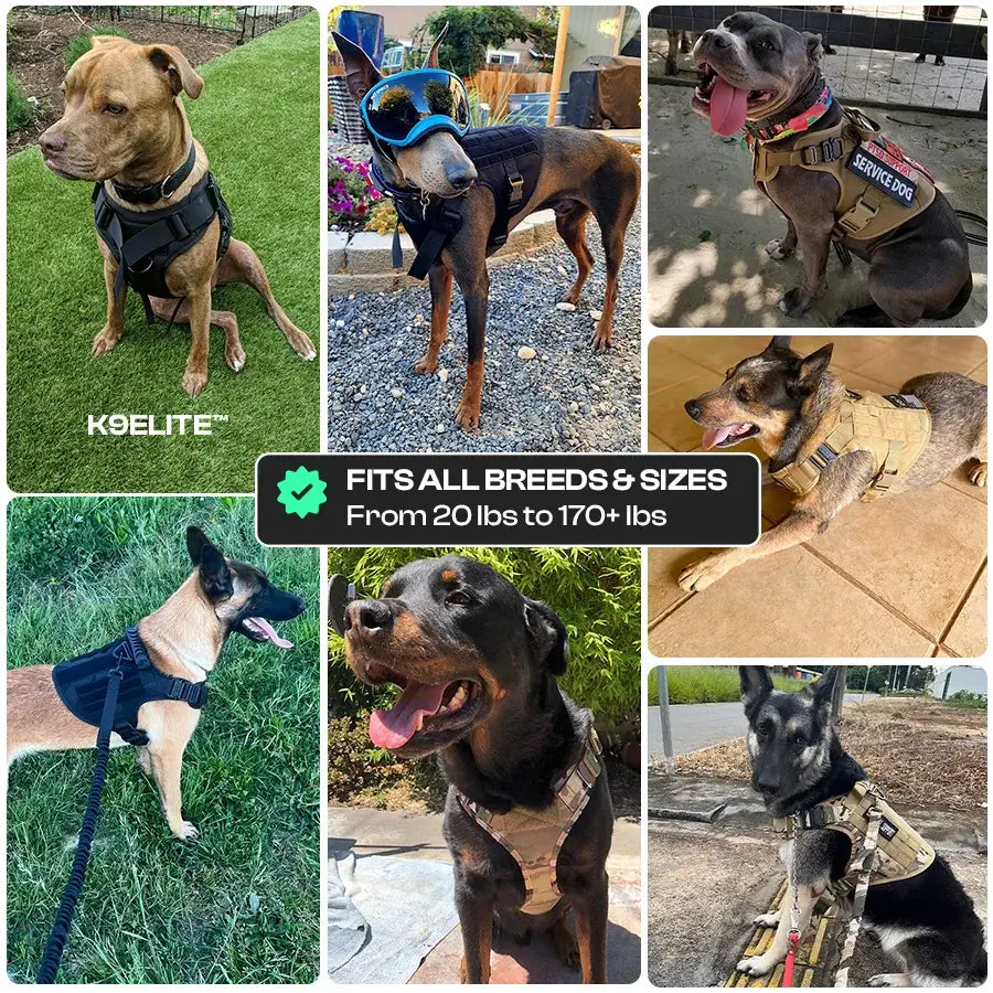 K9ELITE™ Tactical No-Pull Dog Harness