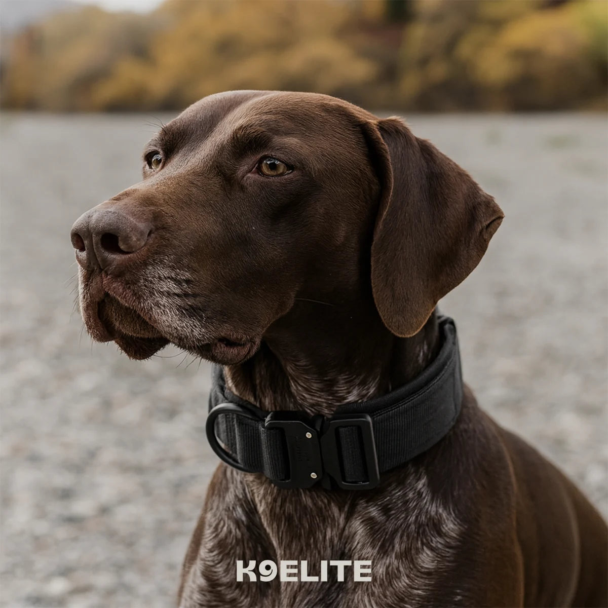 Command Collar