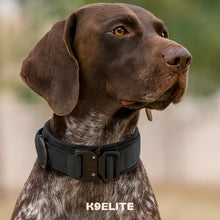 Command Collar