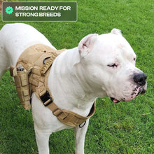 Patrol Harness