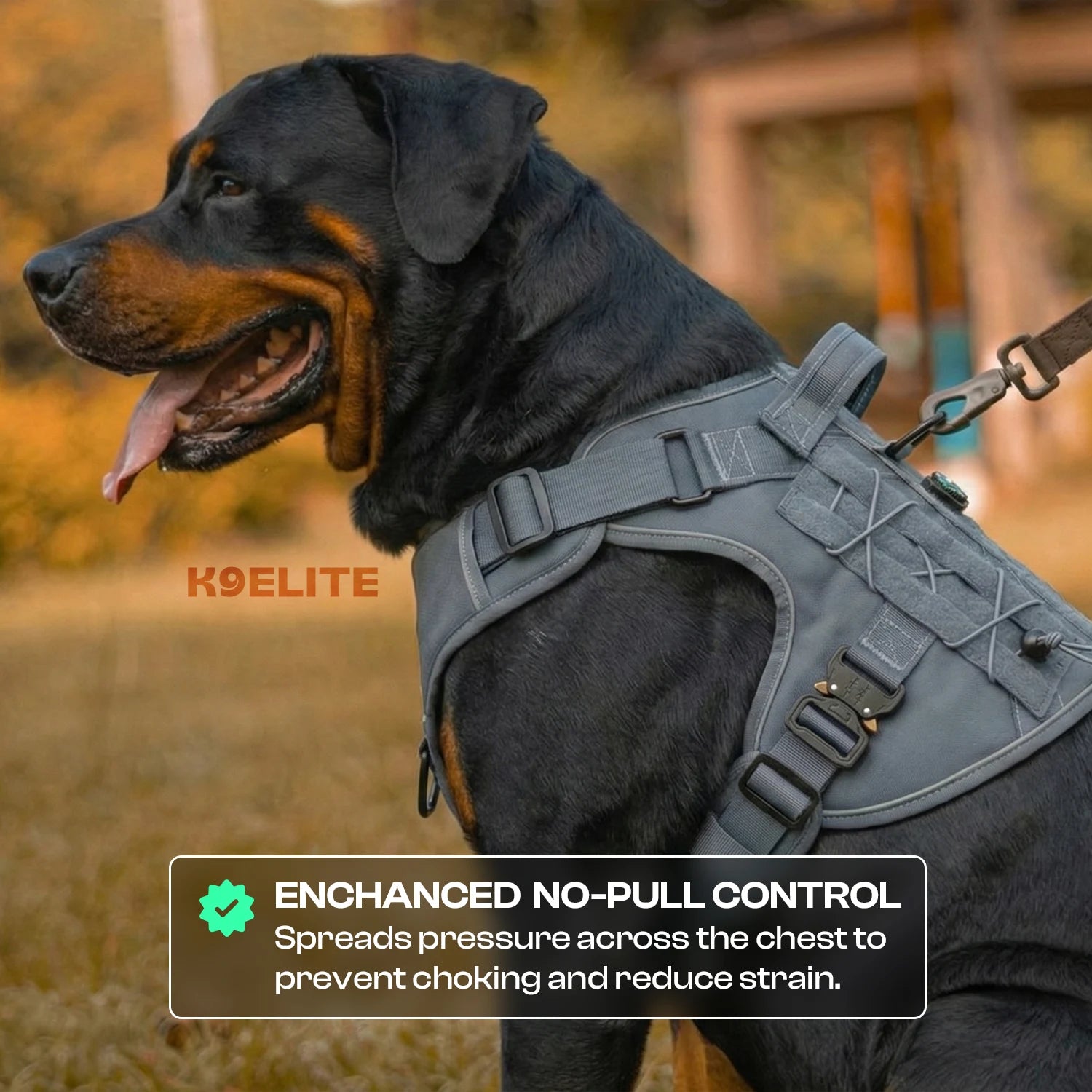 OPERATOR HARNESS