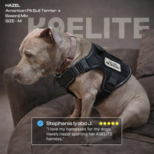 Patrol Harness