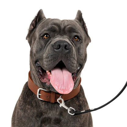 K9ELITE™ Dog Leash