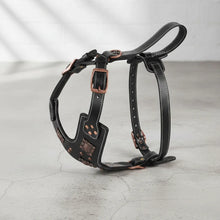 Gladiator Harness