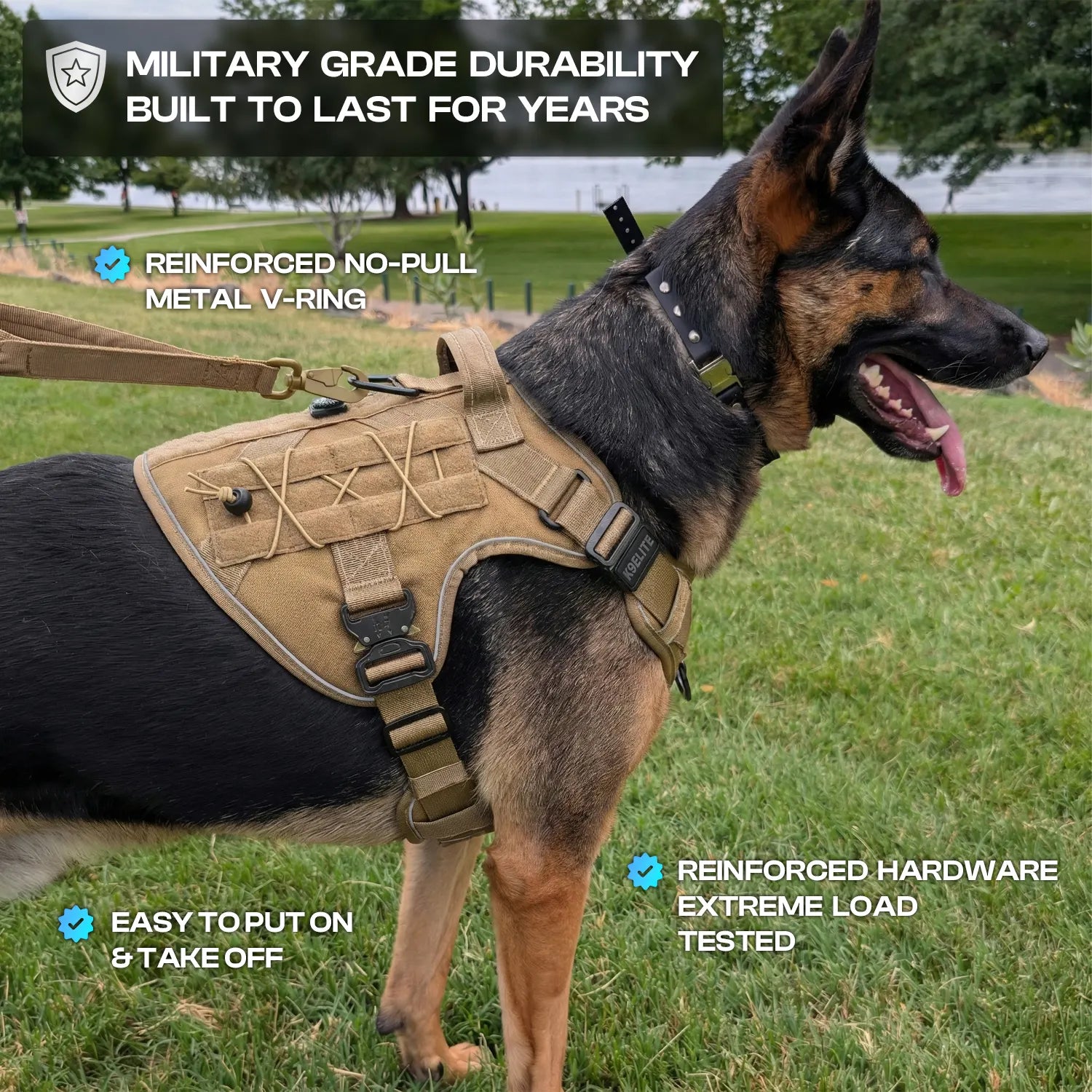 OPERATOR HARNESS