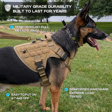 OPERATOR HARNESS