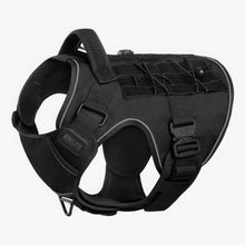 OPERATOR HARNESS