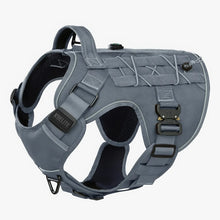 OPERATOR HARNESS