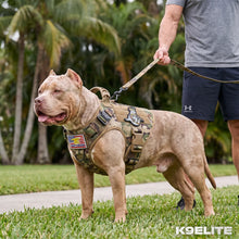 Patrol Harness
