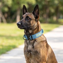 Custom ID Collar