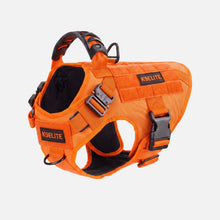 Patrol Harness