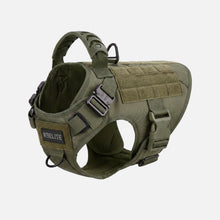 Patrol Harness