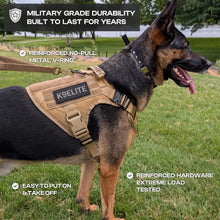 Patrol Harness