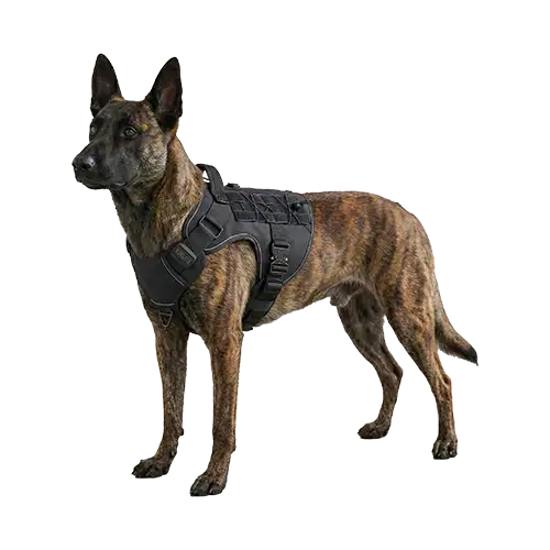 Shop K9ELITE harnesses