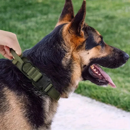 K9ELITE™ Tactical Training Collar
