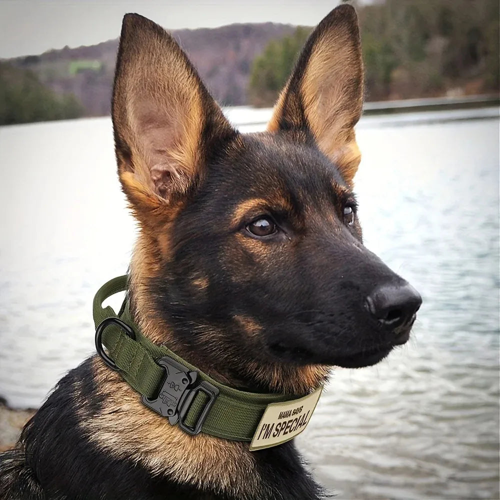K9ELITE™ Tactical Training Collar